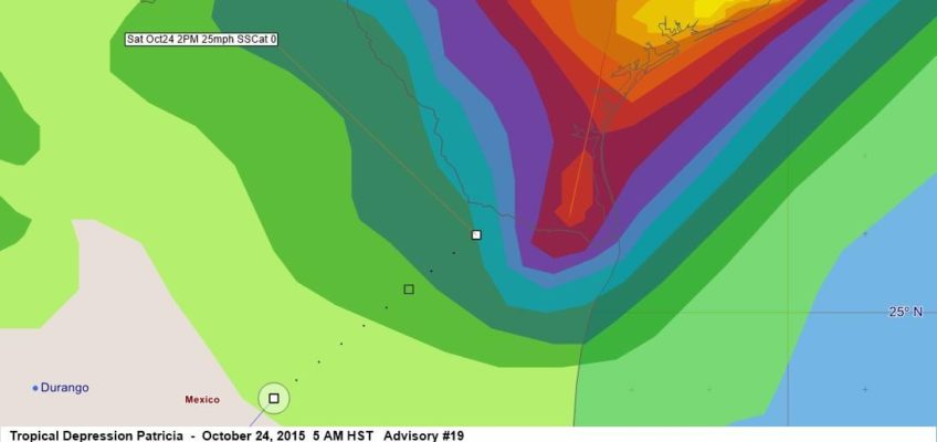 Tropical Depression Patricia Advisory 19