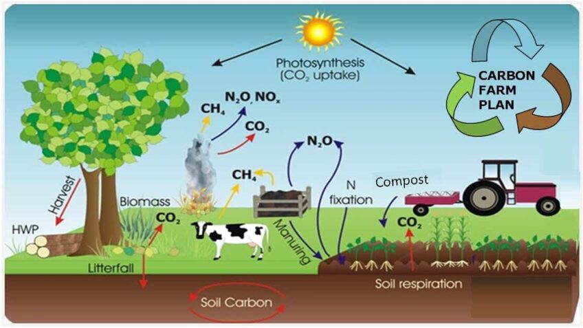 Carbon Farming