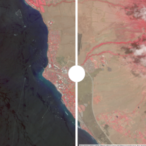 Color Infrared Imagery (Planet) for the August 2023 Hawai’i Wildfires