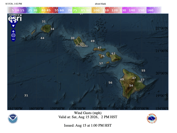 Wind gust forecast map for Hawaii showing speeds up to 75 mph near Maui, valid Saturday August 15 2026 at 2 PM HST